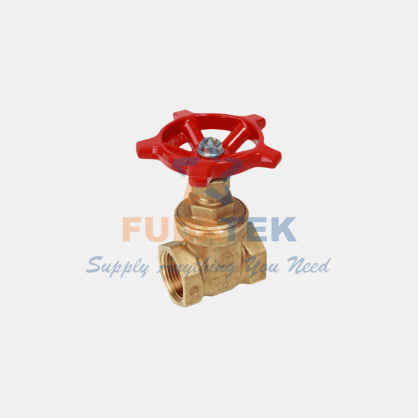 Van Cổng Đồng Nối Ren Giacomini R55